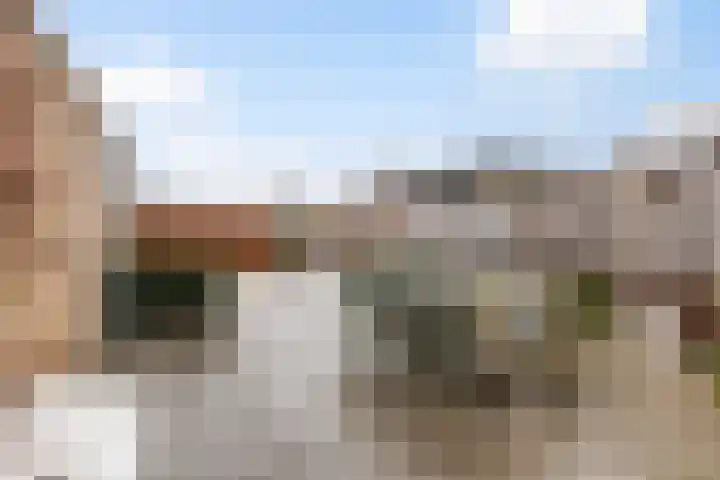 Haverakker 4 Wezep thumbnail 36