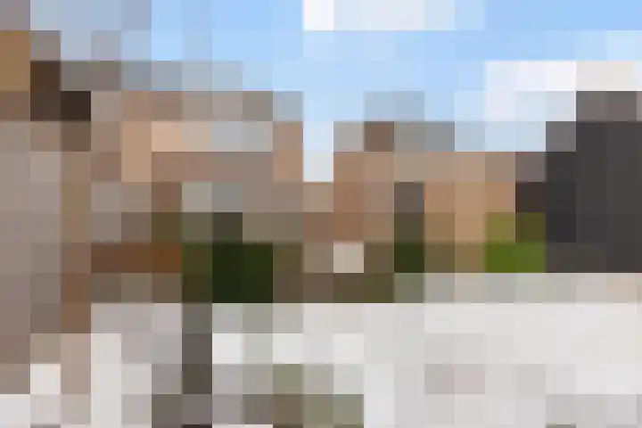 Haverakker 4 Wezep thumbnail 38