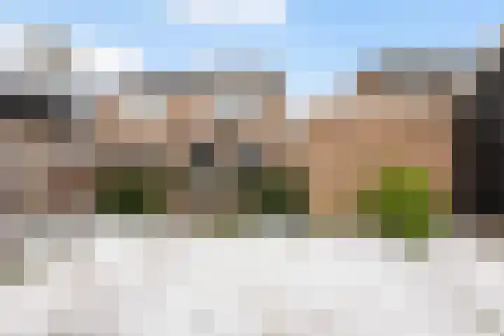 Haverakker 4 Wezep thumbnail 39
