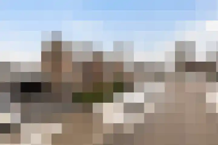 Haverakker 4 Wezep thumbnail 4