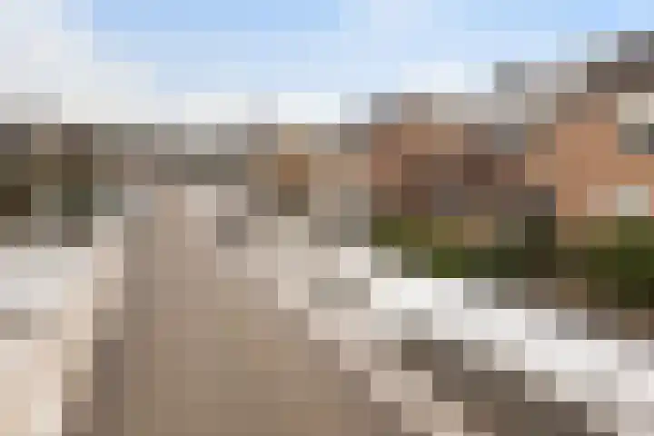 Haverakker 4 Wezep thumbnail 41
