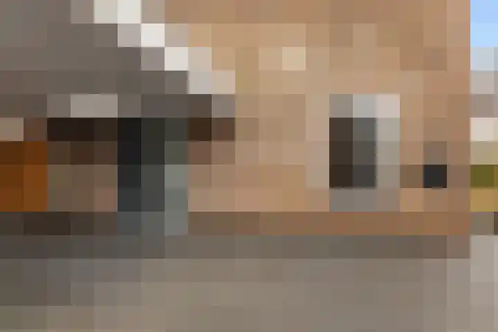 Haverakker 4 Wezep thumbnail 5