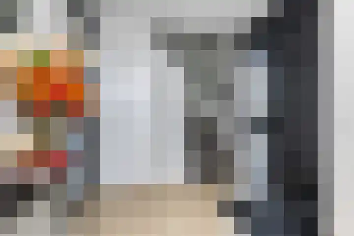 Haverakker 4 Wezep thumbnail 7
