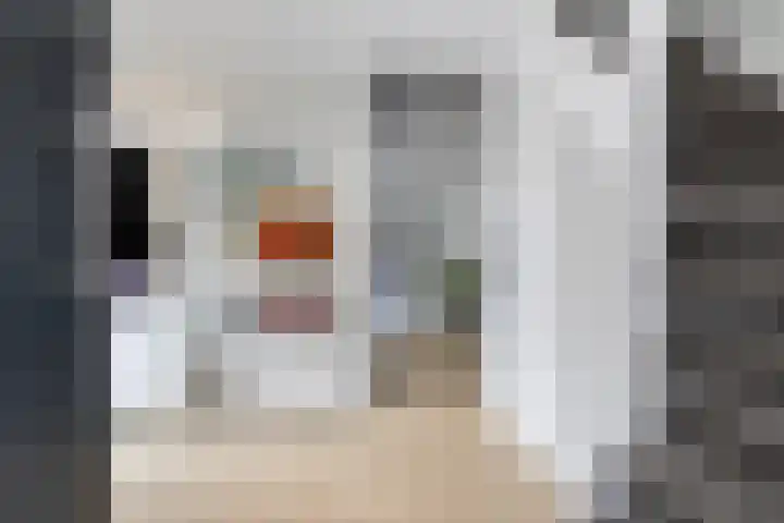 Haverakker 4 Wezep thumbnail 9