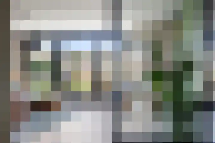 Haverakker 48 Heino thumbnail 20