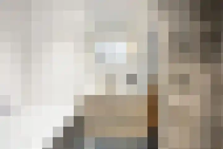 Haverakker 48 Heino thumbnail 34