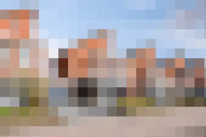 Haverakker 48 Heino thumbnail 5