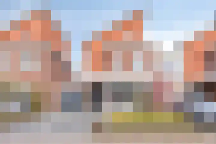 Haverakker 48 Heino thumbnail 6