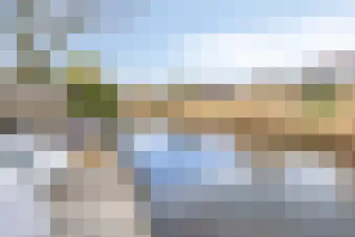 Haverakker 48 Heino thumbnail 61