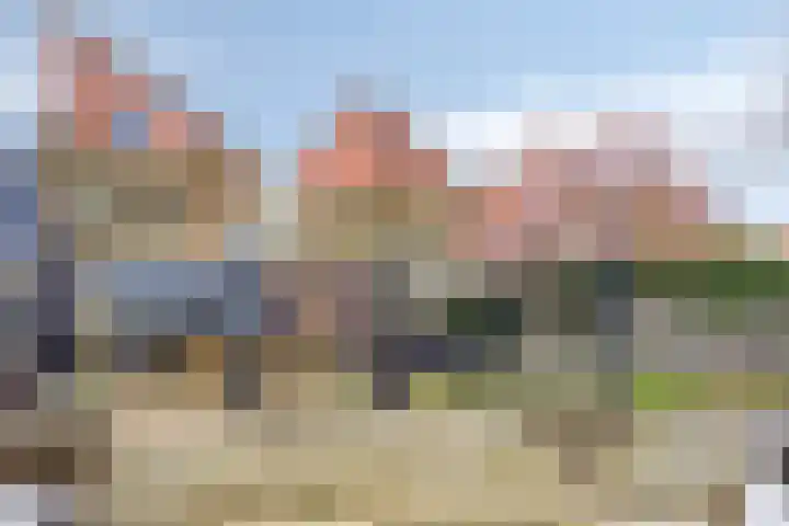 Haverakker 48 Heino thumbnail 62