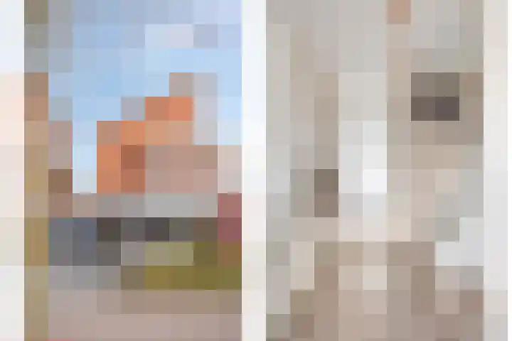 Haverakker 48 Heino thumbnail 8