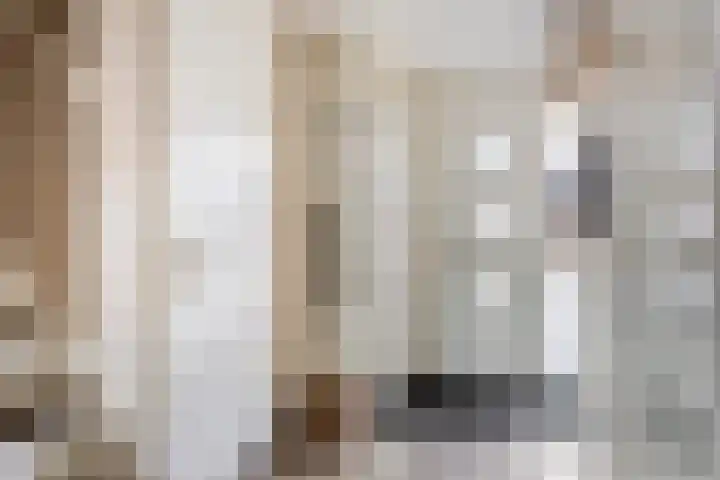Haverakker 48 Heino thumbnail 9