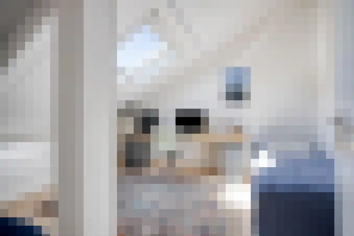 Haverakker 50 Heino thumbnail 33