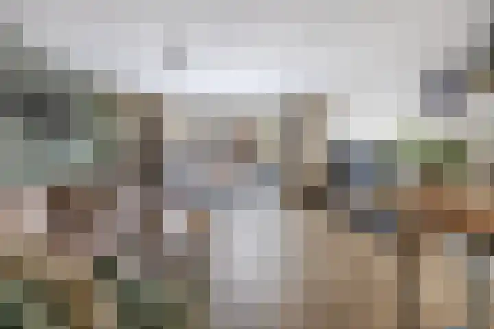 Haverakker 6 Waddinxveen thumbnail 11