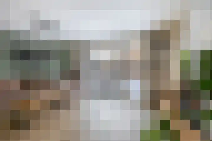 Haverakker 6 Waddinxveen thumbnail 12