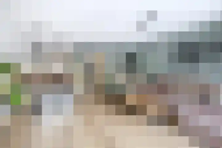 Haverakker 6 Waddinxveen thumbnail 13