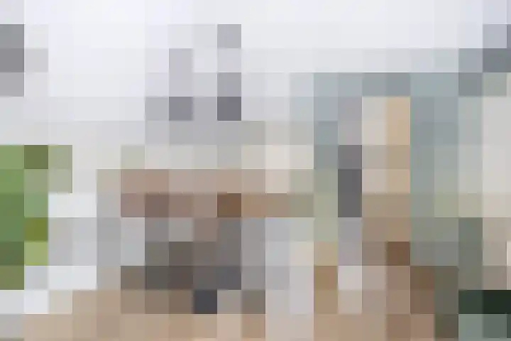 Haverakker 6 Waddinxveen thumbnail 14