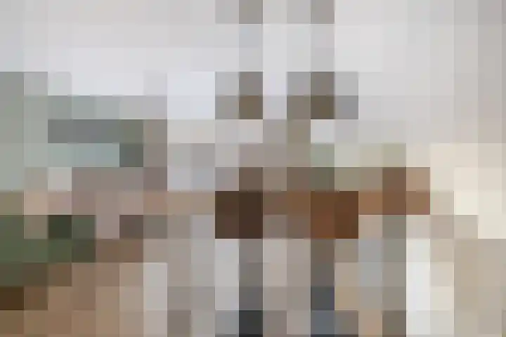 Haverakker 6 Waddinxveen thumbnail 15