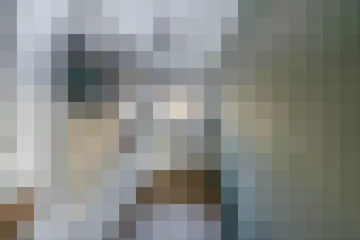 Haverakker 6 Waddinxveen thumbnail 16