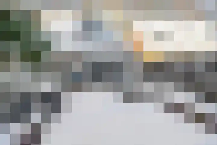 Haverakker 6 Waddinxveen thumbnail 20