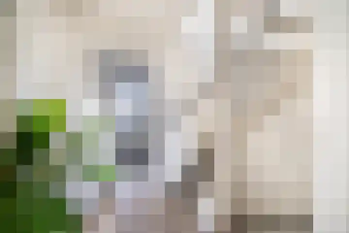 Haverakker 6 Waddinxveen thumbnail 21