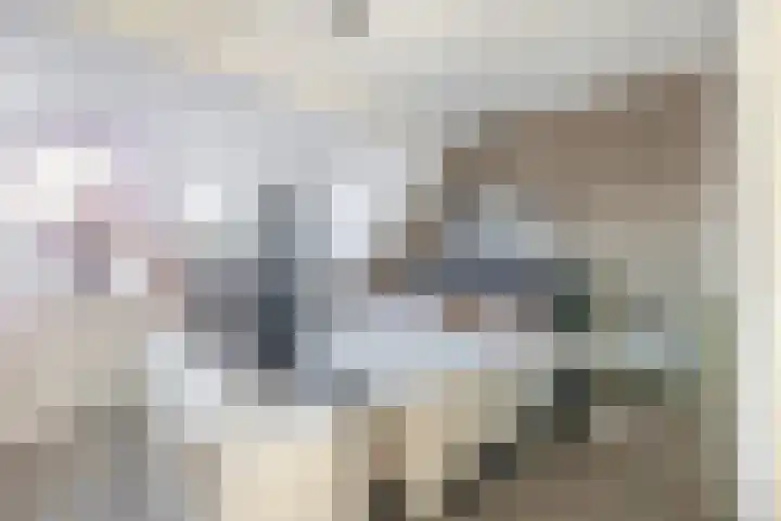 Haverakker 6 Waddinxveen thumbnail 23