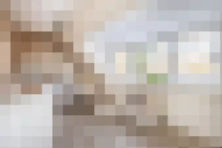 Haverakker 6 Waddinxveen thumbnail 28