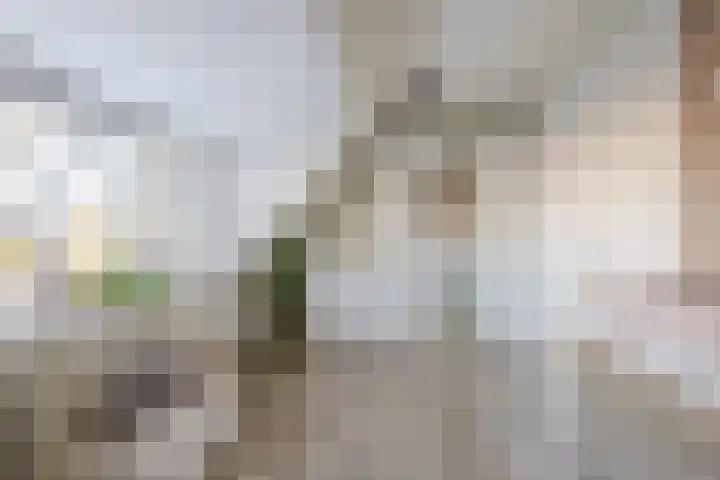 Haverakker 6 Waddinxveen thumbnail 29