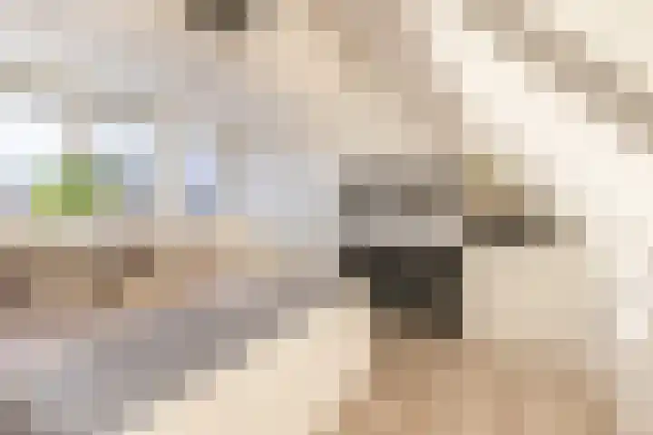 Haverakker 6 Waddinxveen thumbnail 30