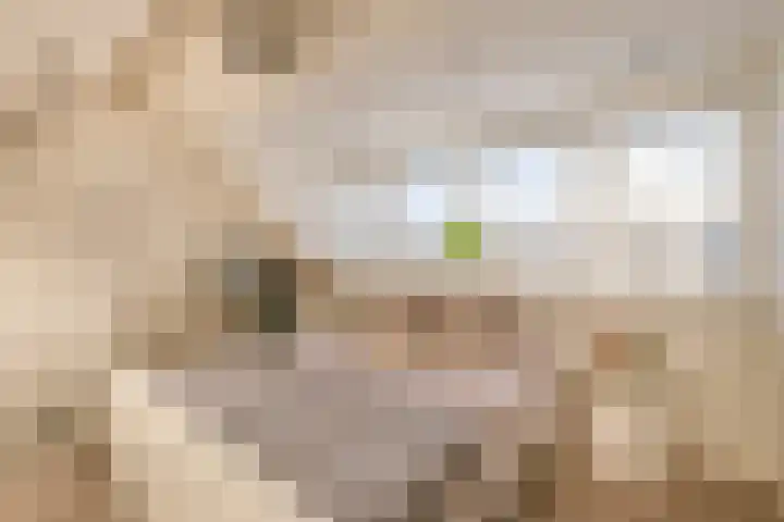 Haverakker 6 Waddinxveen thumbnail 31