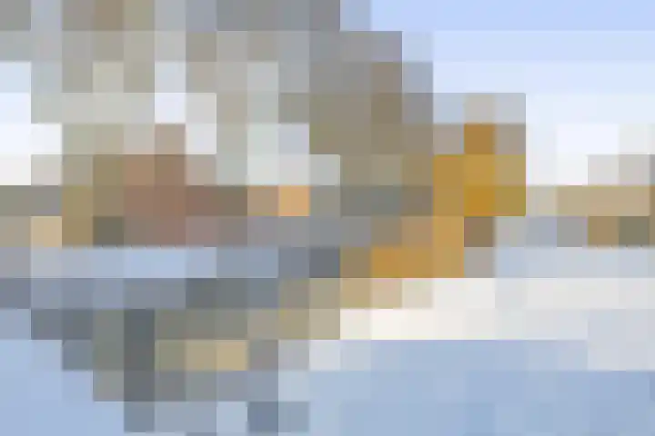 Haverakker 6 Waddinxveen thumbnail 33