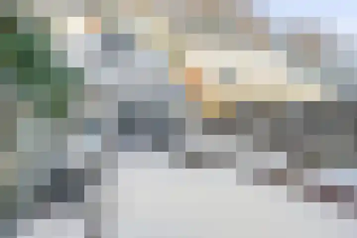 Haverakker 6 Waddinxveen thumbnail 4