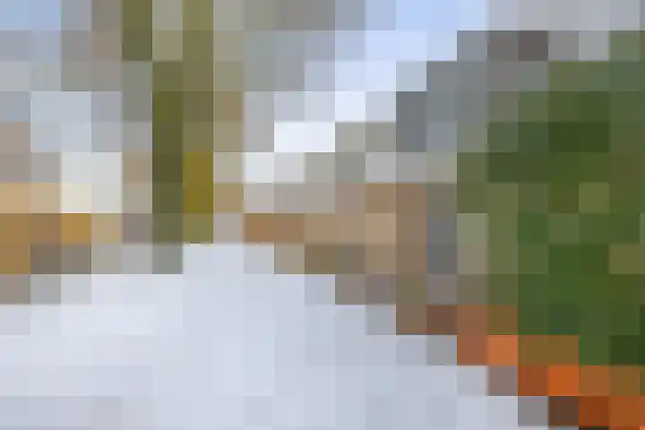 Haverakker 6 Waddinxveen thumbnail 7