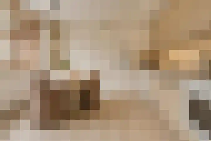 Haverakker 9 Doorn thumbnail 11