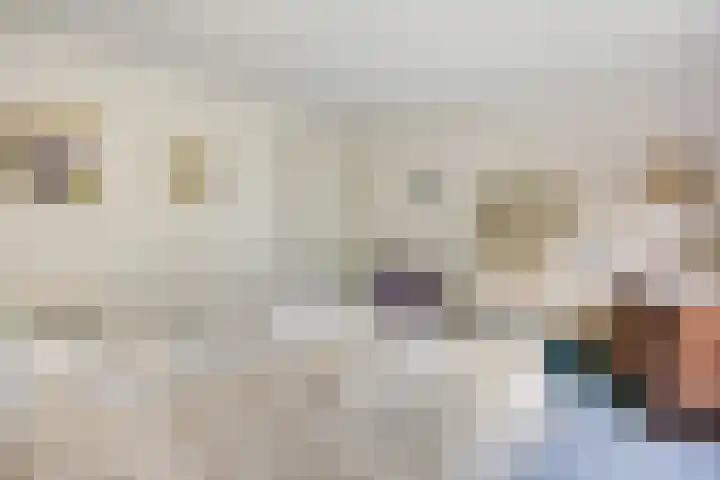 Haverakker 9 Doorn thumbnail 23
