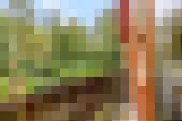 Haverakker 9 Doorn thumbnail 30