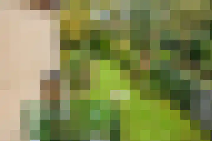 Haverakker 9 Doorn thumbnail 31