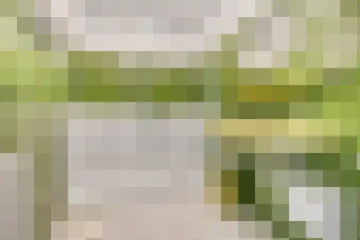 Haverakker 9 Doorn thumbnail 33