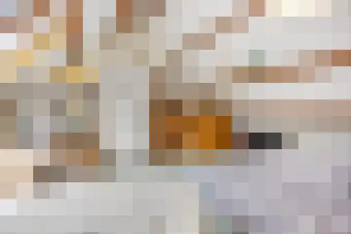 Haverakker 9 Doorn thumbnail 38