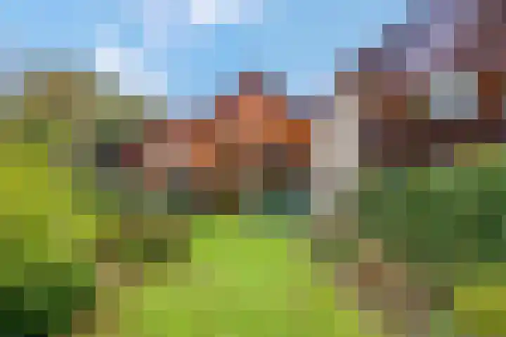 Haverakker 9 Doorn thumbnail 42