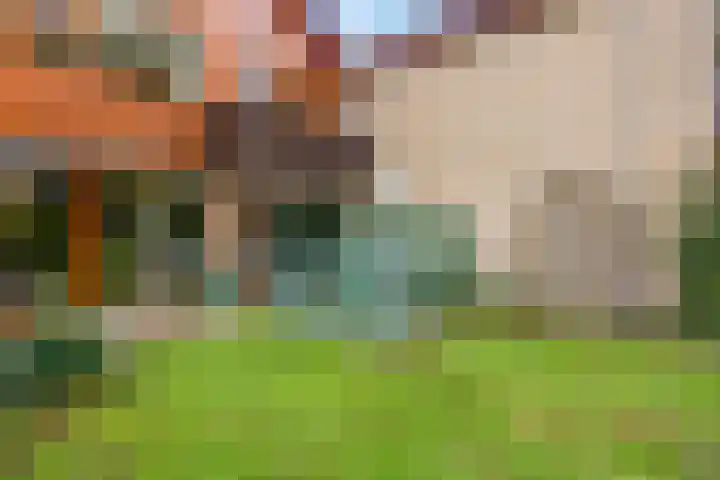 Haverakker 9 Doorn thumbnail 43