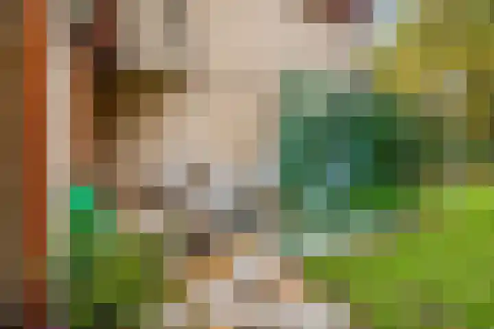 Haverakker 9 Doorn thumbnail 44
