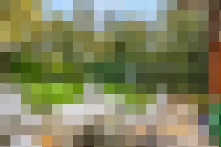 Haverakker 9 Doorn thumbnail 45