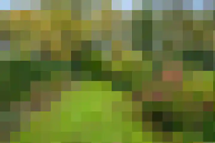 Haverakker 9 Doorn thumbnail 47