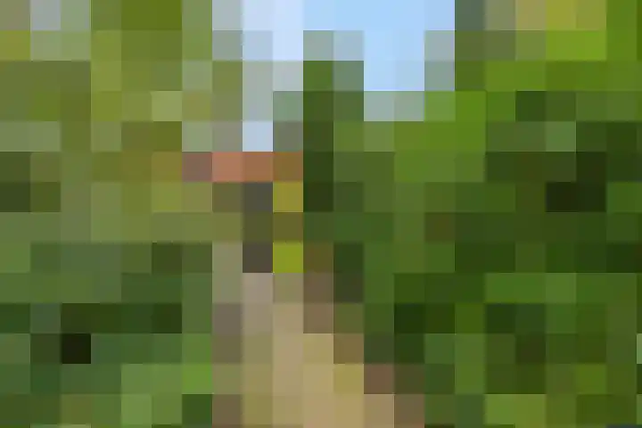 Haverakker 9 Doorn thumbnail 48