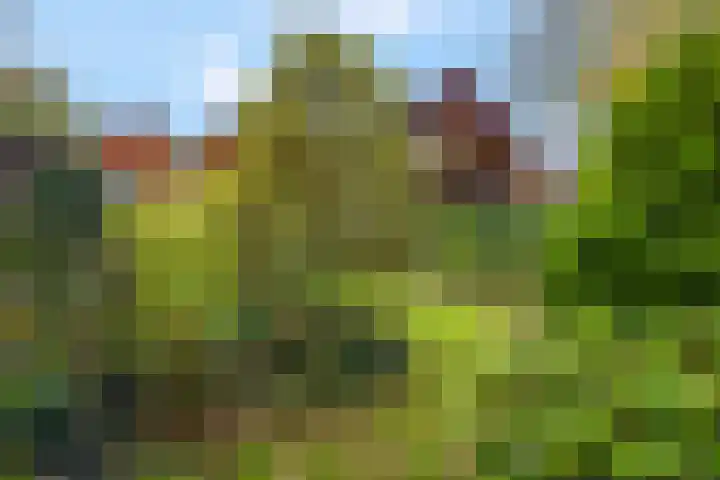 Haverakker 9 Doorn thumbnail 49
