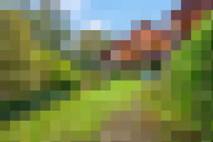 Haverakker 9 Doorn thumbnail 50