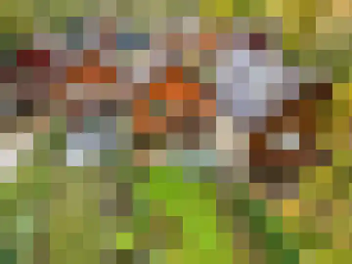 Haverakker 9 Doorn thumbnail 51