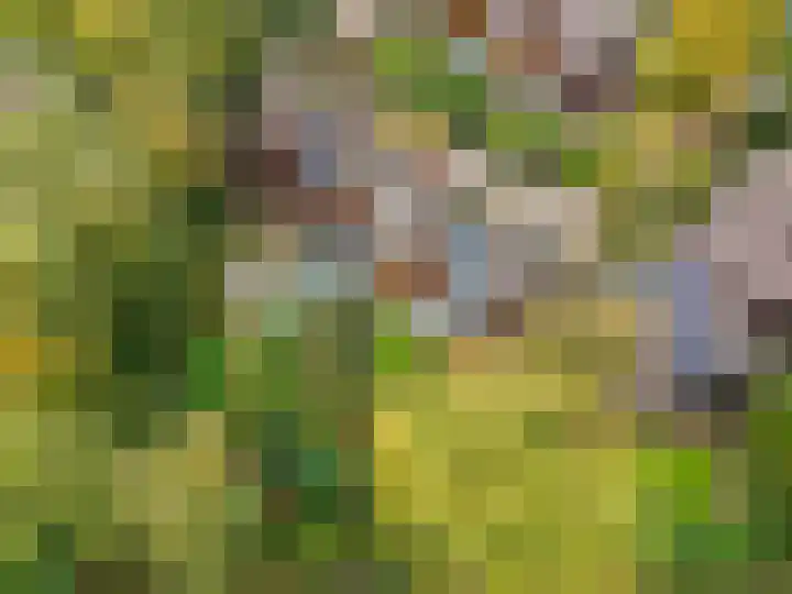 Haverakker 9 Doorn thumbnail 52