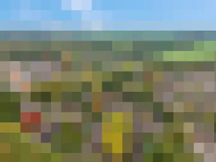 Haverakker 9 Doorn thumbnail 53